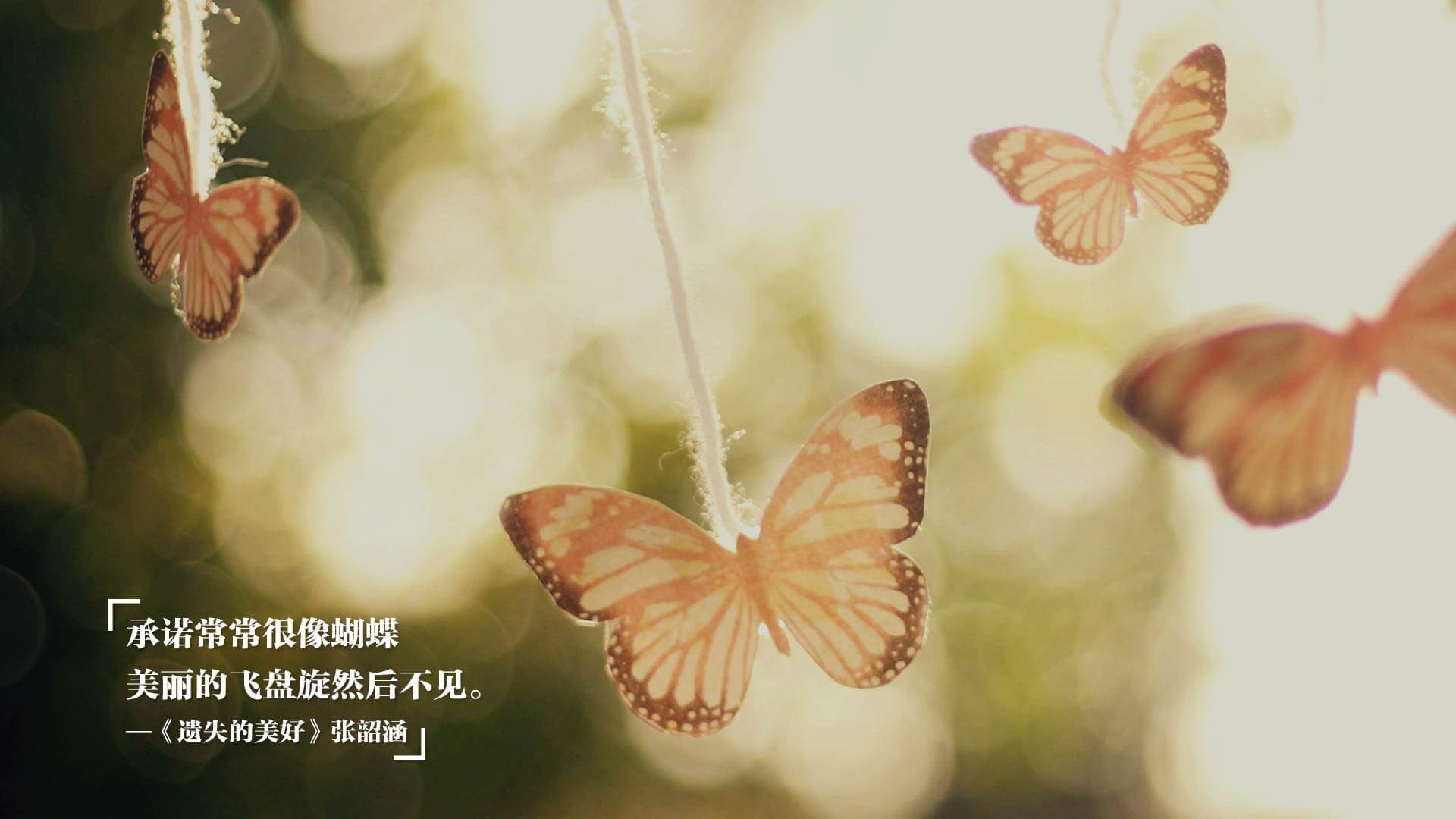 影视与F1：明星赛车纪录片引发关注，赛车的影视