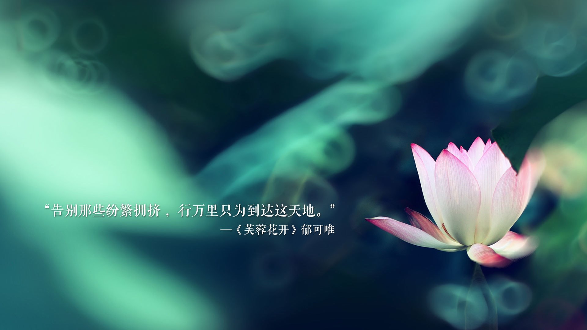 开云网站-电竞城市加快电竞赛事转播平台建设，电竞类体育赛事电竞转播权的销售方式有