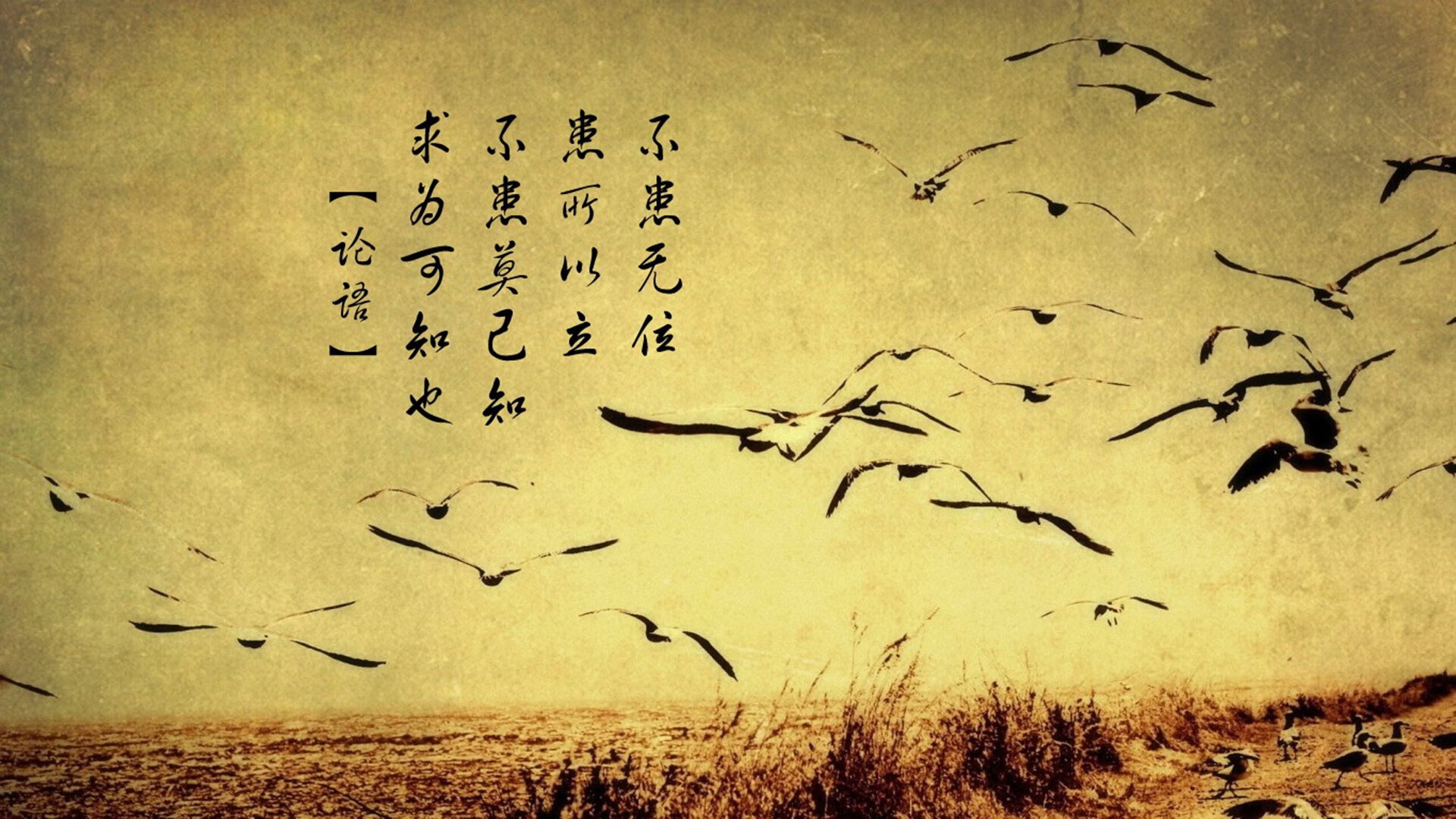 中国香港队在国际乒联混合团体世界杯中的团队协作与战略执行，香港乒乓球队厉害吗