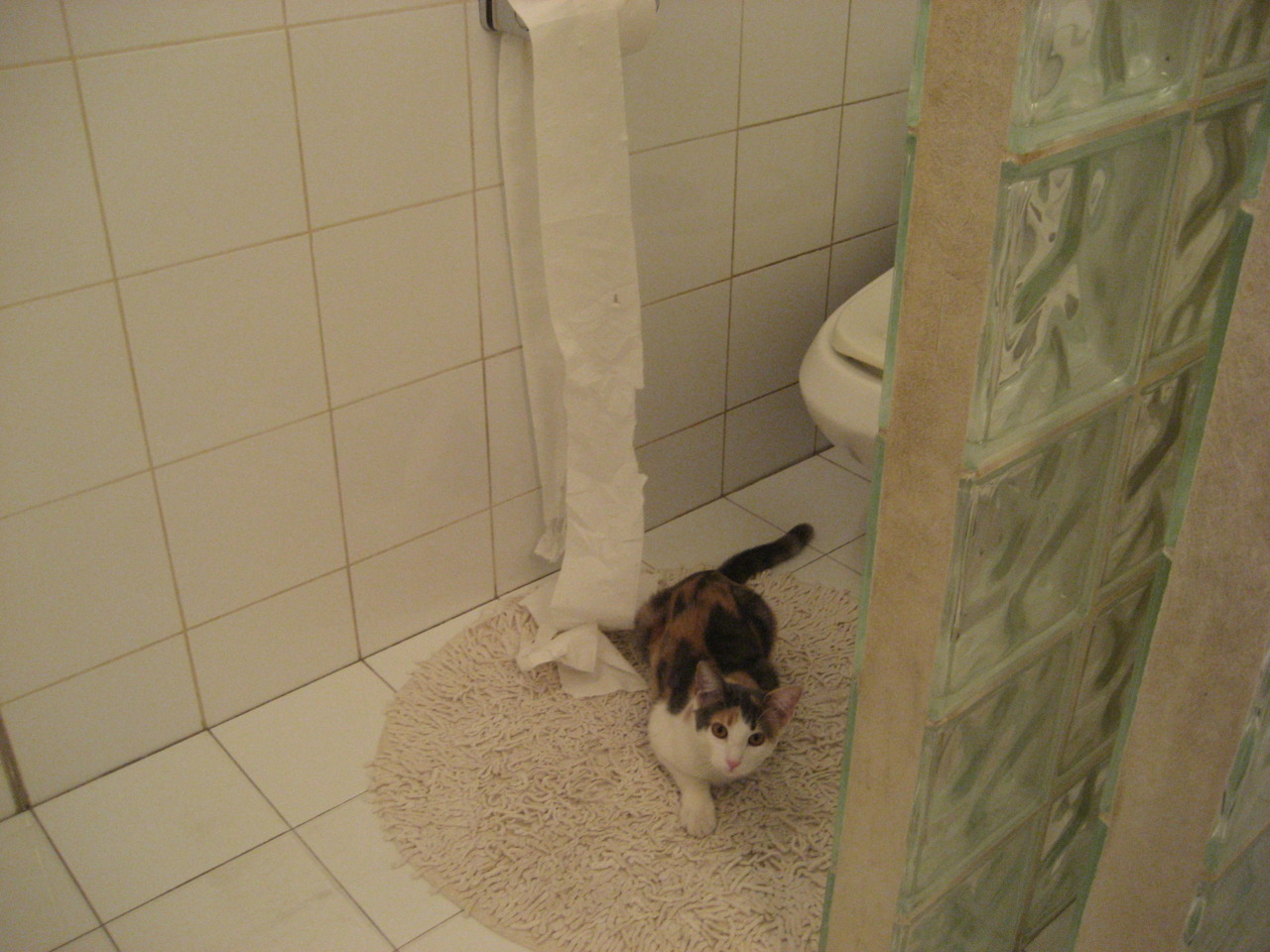 冬奥备战队员体能训练持续加码，冬奥会 训练