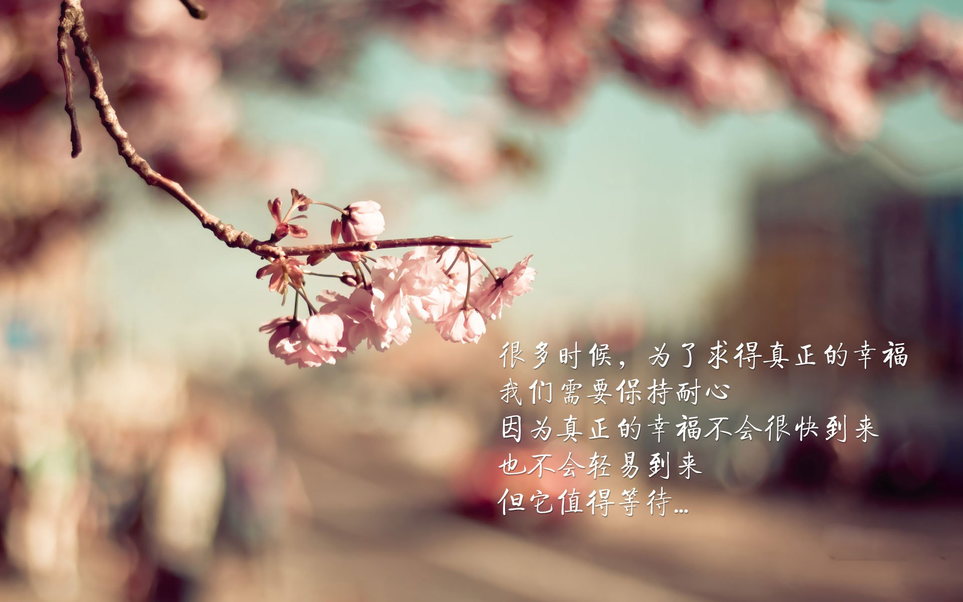 球员职业规划缺乏明确方向，球员的职业生涯