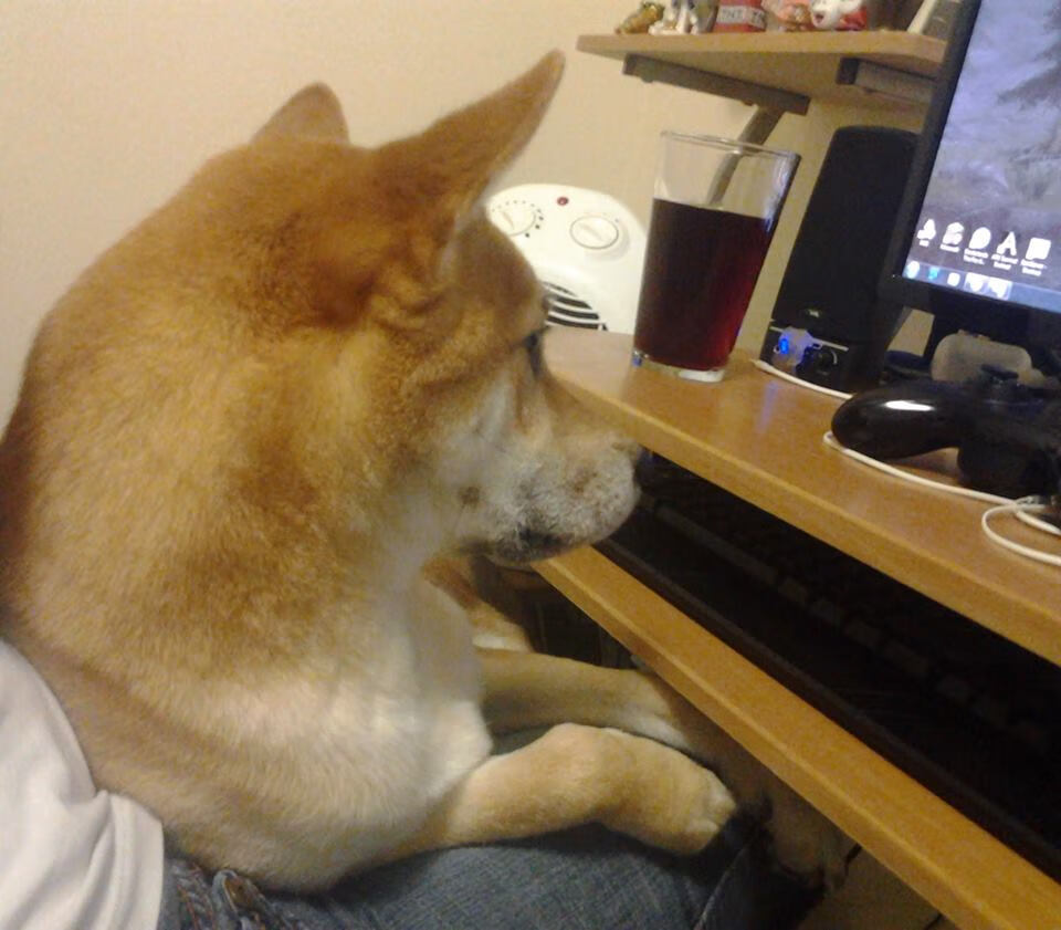 开云中国-联盟节奏最慢球队是否具备更多控场老将，节奏最快的联赛