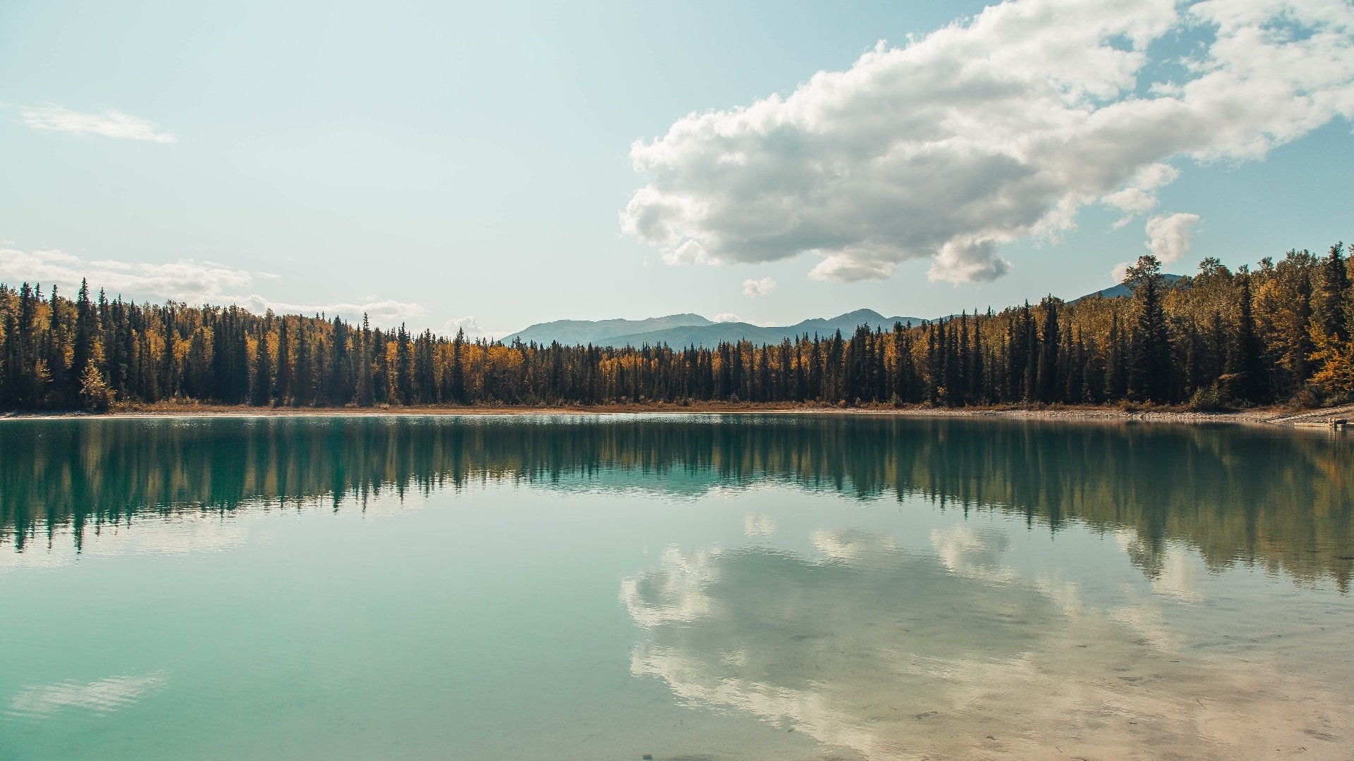 开云官网首页-队内战术会议如何提升比赛执行效率，比赛战略战术
