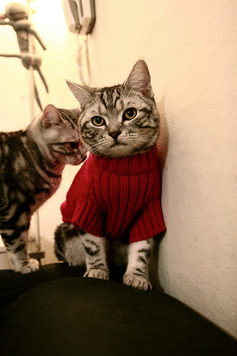 AI裁判系统全面升级，提升比赛判罚的科学性与公正性，ai裁判 体操哪一年