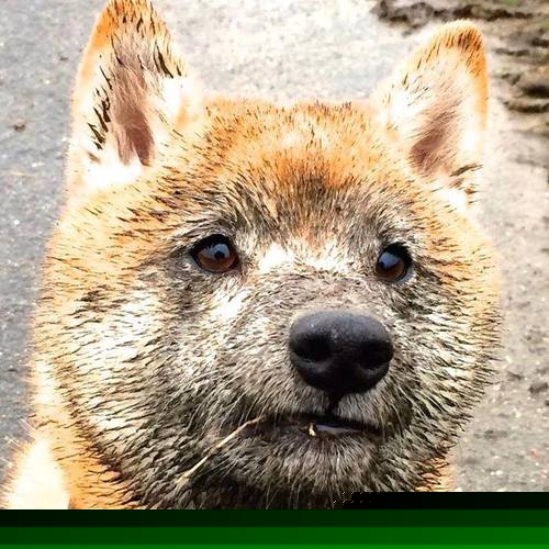 世界杯百年经典：永恒回忆，难忘瞬间！，世界杯史话