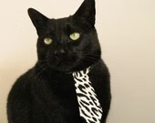 中国足球职业俱乐部球员转会市场活跃度增强,中国足球球员转会费排名