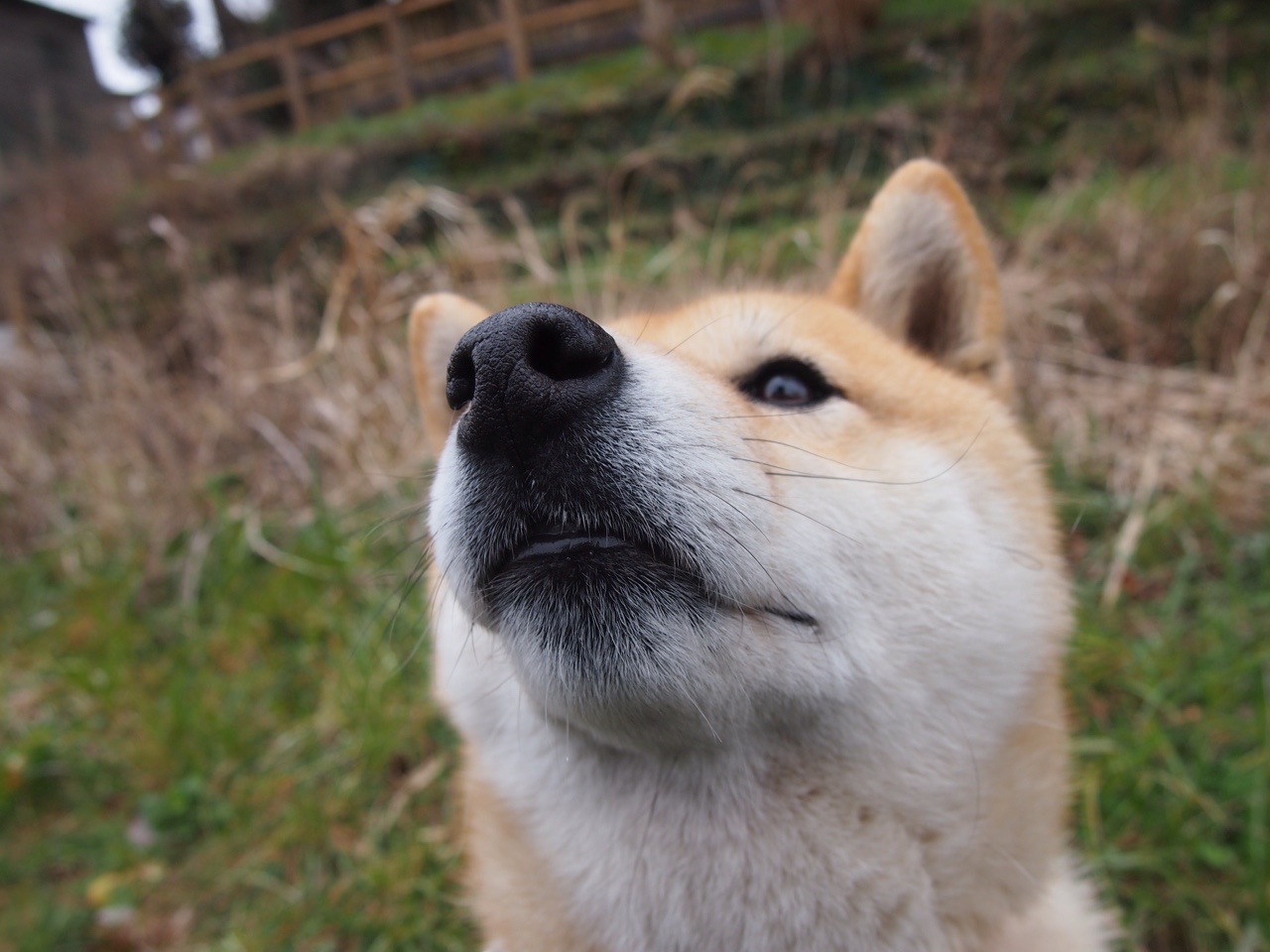 kaiyun官方入口登录-特色足球文化在国际博览会上亮相，推进文化交流与合作，足球文化馆