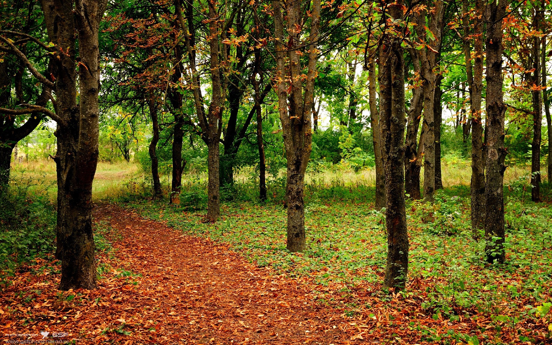 kaiyun网站-苏炳添锁定胜局田径世锦赛，苏炳添进世锦赛决赛