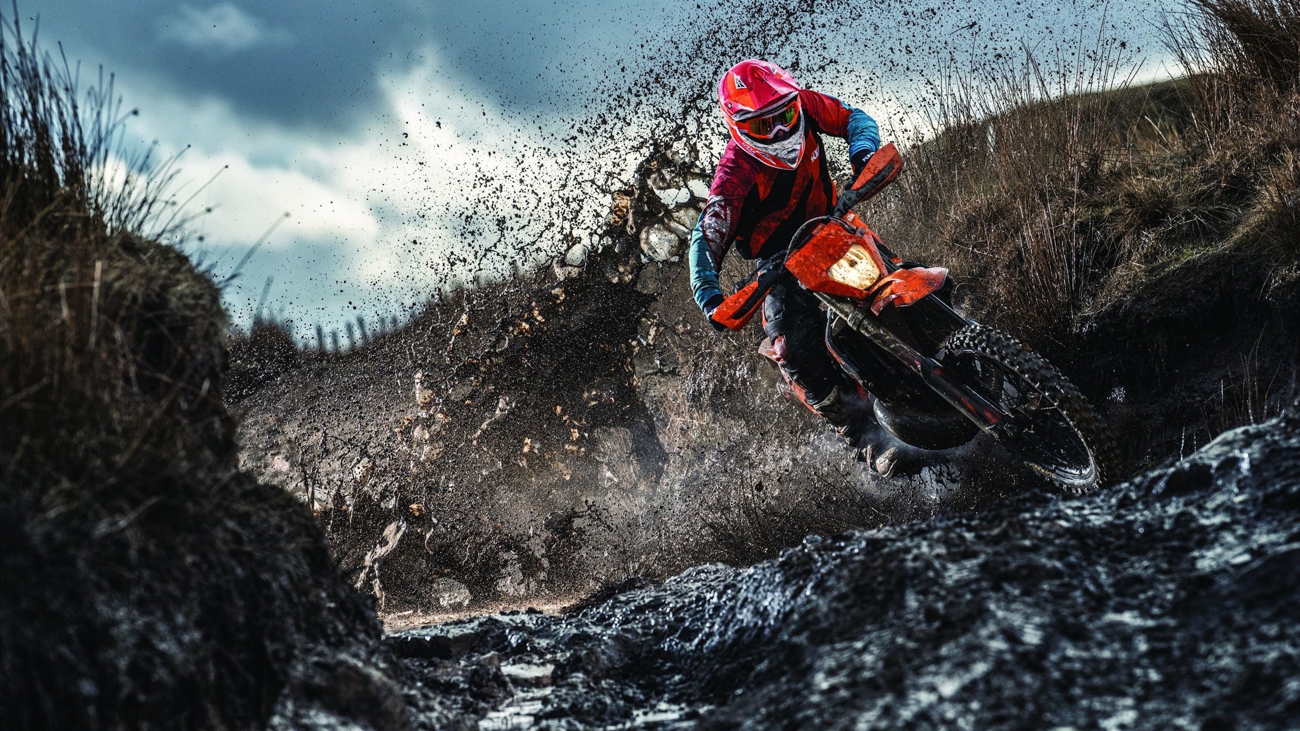 荷兰水球男队展现团队战斗力,荷球被称为荷兰式的篮球