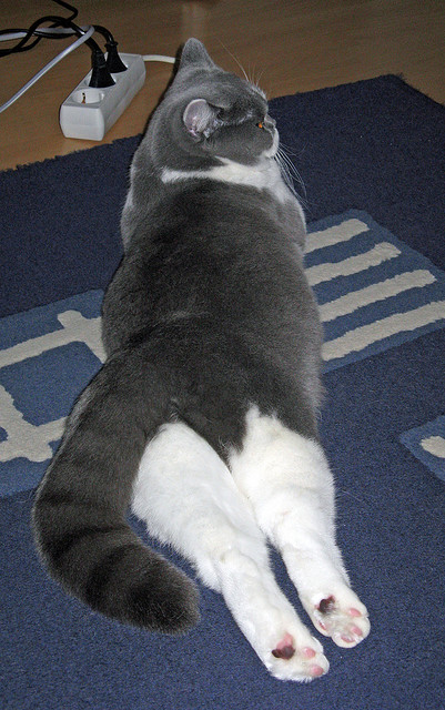 西甲盘点:最精彩的盘带过人战术,盘带大师巴西