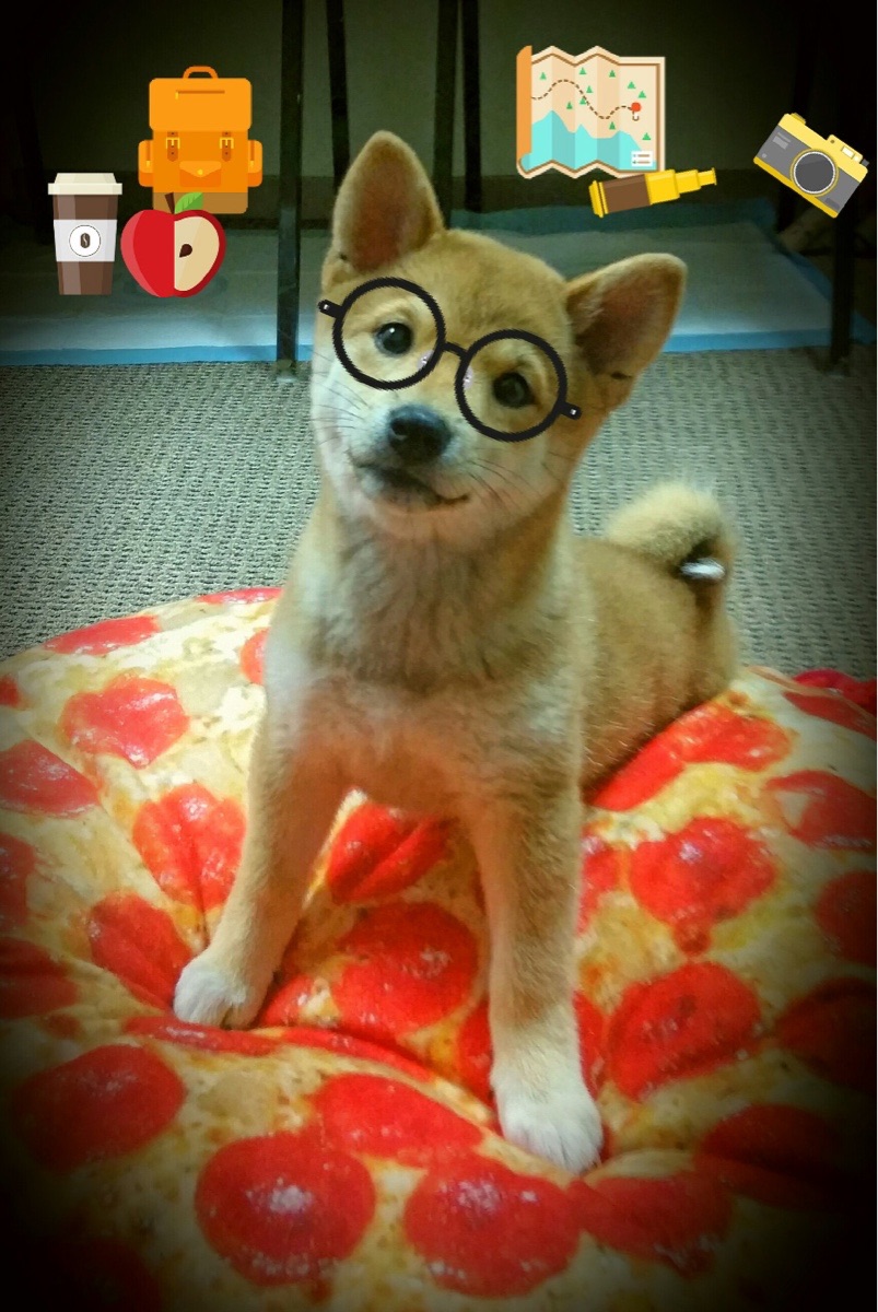 kaiyun开云·官方网站-足球转会市场最新动态，足球最新转会信息2020